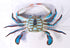 Charlotte International 17" Chesapeake Bay Blue Crab Wall Art - Large Decor