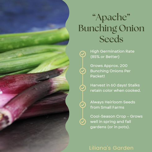 Liliana's Garden Apache Red Bunching Onion Seeds aka Red Scallion or Salad Onion | Heirloom Seeds by |