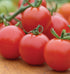 100' 50 Burpee 'Super Sweet Hybrid, Cherry Tomato, Non-GMO Seeds