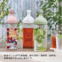 1200ml, Hario "Ka-Ku" Cold Brew Tea Bottle, Smoky Green