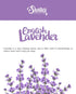 Shortie's Candle Company Pure English Lavender Wax Melts, 3 Oz. Bar, Highly Scented