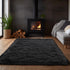 Zentavio Black Area Rugs for Living Room Bedroom 5x8 Large Men Room
