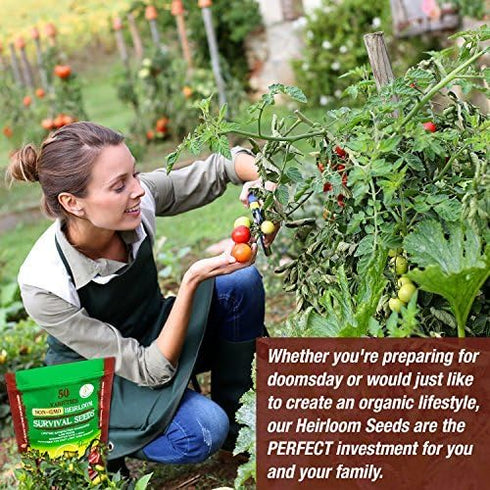 Grow For It 50 100% Heirloom Vegetable Seeds Non GMO Survival Seed Kit - Part of Our Legacy and Heritage - Varieties