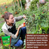 Grow For It 50 100% Heirloom Vegetable Seeds Non GMO Survival Seed Kit - Part of Our Legacy and Heritage - Varieties