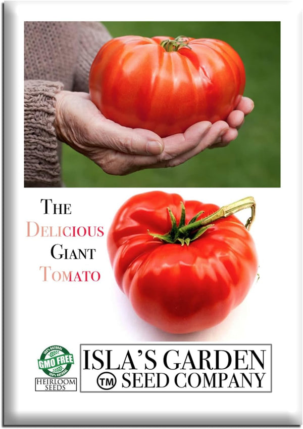 The Delicious Giant Beefsteak Tomato Seeds (Solanum lycopersicum) 50+ Heirloom Non-GMO Seeds