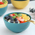 Kyraton Plastic Cereal Bowls - 8 Pieces, 26 oz, Unbreakable and Reusable Lightweight Bowl for Rice, Noodle, Soup,