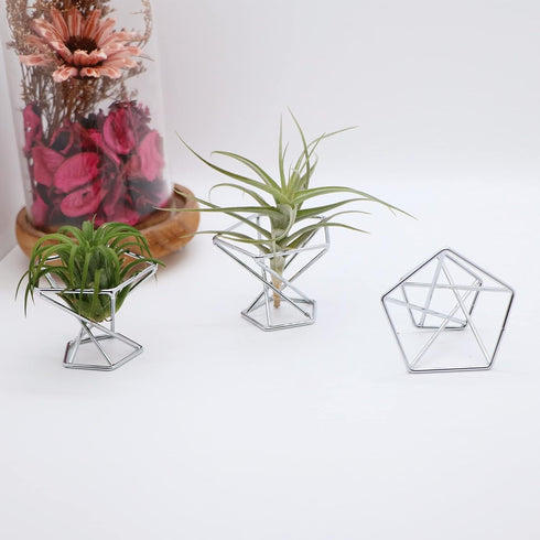 Nwsrayu Himmeli 5pcs) Geometric Air Plant Holder Airplants Rack Metal Plants Stand Planter Shelves Living Decor