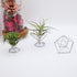 Nwsrayu Himmeli 5pcs) Geometric Air Plant Holder Airplants Rack Metal Plants Stand Planter Shelves Living Decor
