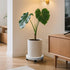 2Pack 12.4'' Plant Caddy with Wheels, Plant Stand Dolly for Heavy Planter,Wheeled Planter Saucer Tray,Rolling plant