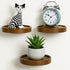 AceList 3-Pack Round Floating Shelves for Wall Decor, 6'' Diameter Acacia Wood