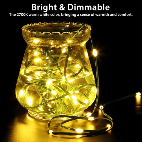 33ft (2 Pack), 100 Battery Operated String Lights LED Fairy String Lights Battery Powered w/Remote & Timer for Indoor