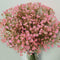 Bringsine Baby Breath Gypsophila Deco, Pink Colour Artificial Flowers, 40 Pieces/lot
