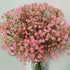 Bringsine Baby Breath Gypsophila Deco, Pink Colour Artificial Flowers, 40 Pieces/lot