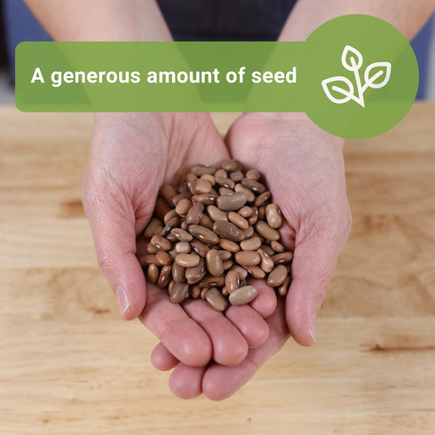 2 170 Pack Sow Right Seeds - Bulk Kentucky Wonder Pole Bean Seeds for Planting - Ounce, Seeds - Non-GMO Heirloom Jumbo