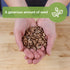 2 170 Pack Sow Right Seeds - Bulk Kentucky Wonder Pole Bean Seeds for Planting - Ounce, Seeds - Non-GMO Heirloom Jumbo