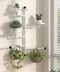 3-Tier Window Plant Shelves, 160 Rotating Indoor Wall Mounted Plant Holder Shelf