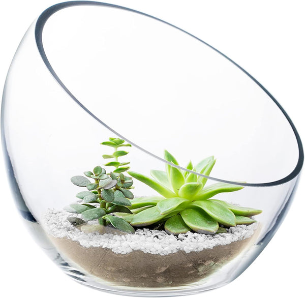 CYS EXCEL Glass Slant Cut Bubble Bowl (H-6" W-7"), Slanted Globe Bowl Terrarium, Round Flower Vase Centerpiece