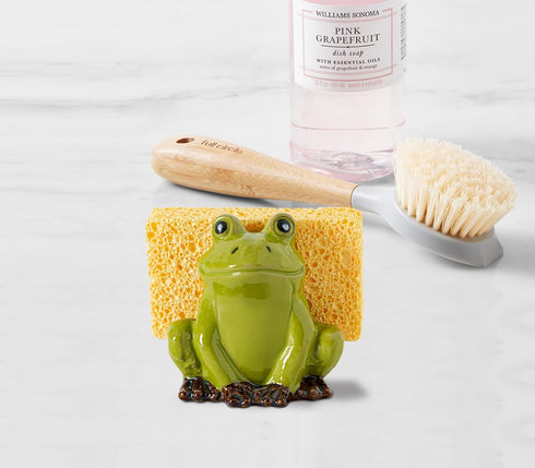 dgudgu Frog Sponge Holder for Kitchen Sink Cute Kitchen Sponge Holder Ceramic Kitchen Sink Sponge Holder Durable Sink