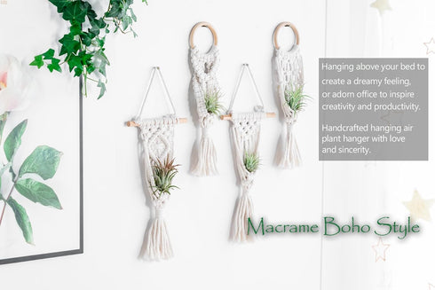 4 Pack Melphoe Air Plants Holders Stand Air Fern Macrame Plant Hanger Indoor Hanging Planter Basket for Tillandsias
