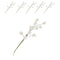 Global Sugar Art Lily of the Valley Sugar Cake Flowers Filler Spray,