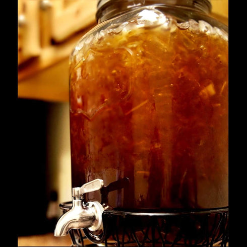 Stainless Steel Replacement for Beverage Dispenser with Screen Filter, Works with Ice Tea, Kombucha, Lemonade, and