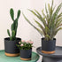 ZMTECH Set of 3 8'' Self Watering Plant Pots, Plastic Planters with Drainage Hole and Saucer for Indoor Outdoor Use