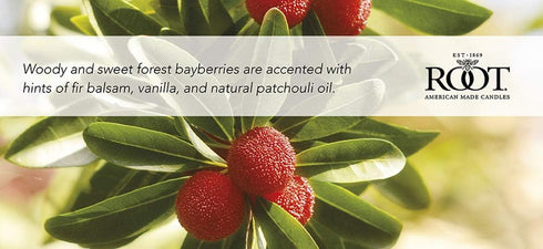 Root Candles Honeycomb Traveler Scented Beeswax Blend Candle - Bayberry 4 Ounce