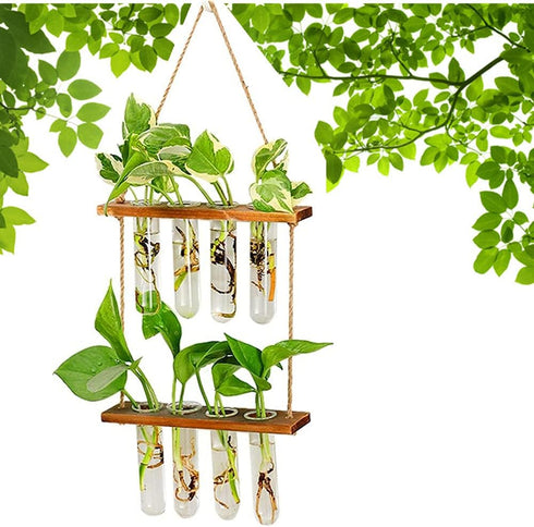 ORANGE NEI Hiuxume 2 Tiered Wall Hanging Planter, Wooden Stand with Glass Planter Test