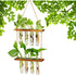 ORANGE NEI Hiuxume 2 Tiered Wall Hanging Planter, Wooden Stand with Glass Planter Test