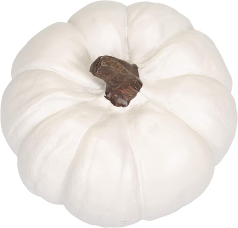 Elanze Designs Classic White Decorative Pumpkins Pack of 2, 6 Inch Resin Harvest
