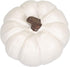 Elanze Designs Classic White Decorative Pumpkins Pack of 2, 6 Inch Resin Harvest