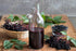 90% Gaea's Blessing Seeds - Elderberry Seeds - American Black Elderberry Heirloom - Non-GMO Seeds with Easy to Follow