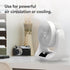 Everdure 9” Oscillating Desk Fan, 3 Speed Settings, Portable Personal Fan for Bedroom, Living Room, Home Office