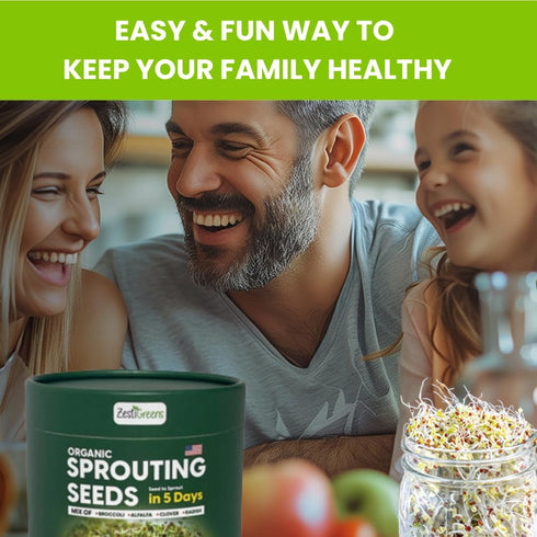 (0.5 lb) ZestiGreens Fresh Sprouting Seeds Mix Broccoli, Alfalfa, Radish, Clover Seeds in Food Grade Colorful Container