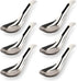 Asian Stainless Steel Soup Spoons Set of 6, Silverware for Ramen, Pho, Wonton, Dumpling Noodles