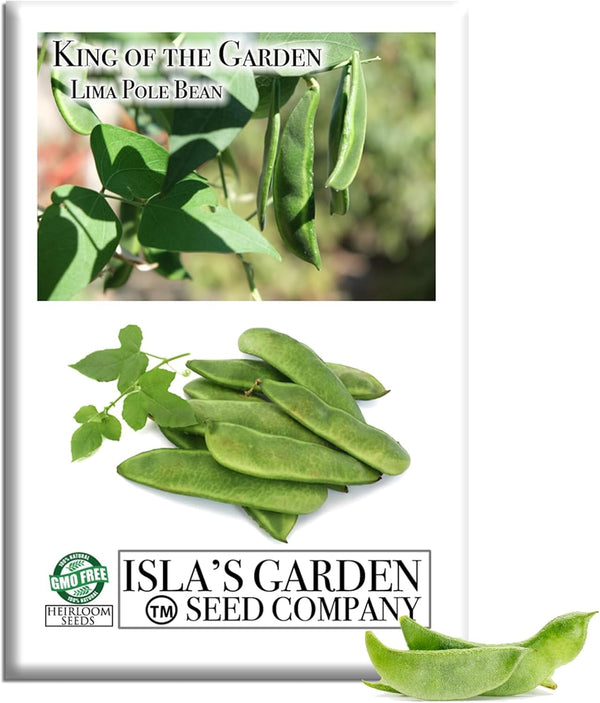 King of The Garden Lima Bean Seeds (Pole Lima, Phaseolus lunatus) 25+