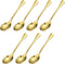 uxcell 7Pcs Stainless Steel Shell Shape Coffee Spoon, 5 Inch Tableware Dessert Spoons for Tea, Coffee, Cake