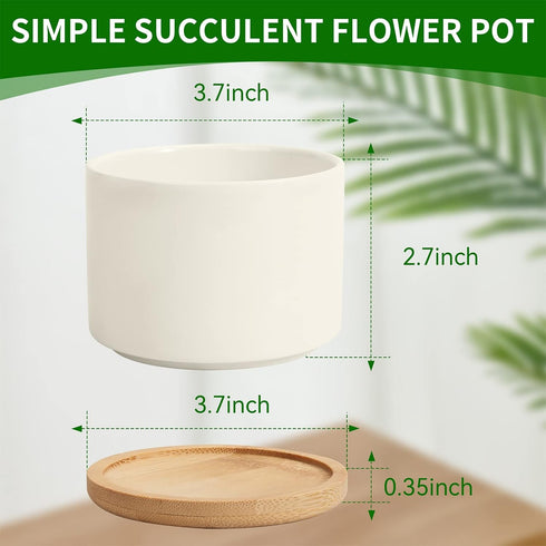 ZOUTOG 4 Inch Ceramic Plant Pot, Pack of 6 White Succulent Pots with Drainage Hole & Bamboo Tray for Home, Office Decor