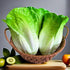 Generic 3pcs HC2430-L3 Realistic Artificial Fake Lettuce, Fake Vegetable, Artificial Vegetables for Decoration, Home