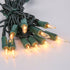 8FT 10 Count Bulbs LIDORE Super Bright Clear Mini Christmas Tree String Lights, Gift for Decoration, with Green Cord