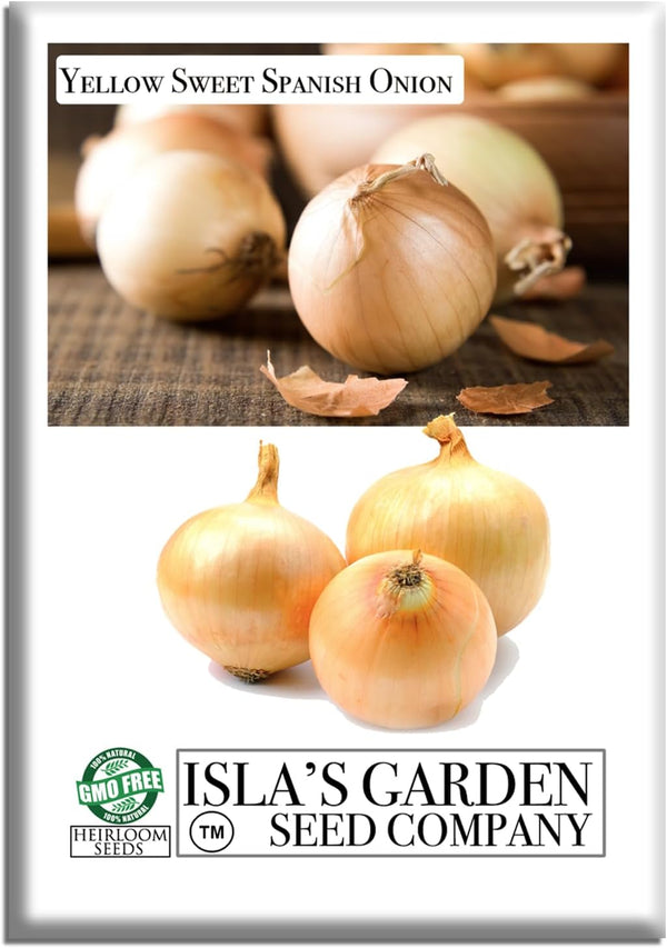 Yellow Sweet Spanish Onion Seeds (Allium cepa) 750+ Non-GMO Heirloom Seeds by