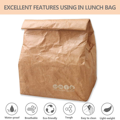 2 Pack 7.8 5.9 11.8 inches Hangnuo Insulated Brown Paper Lunch Bags Reusable, Retro Lunch Sacks for Adults Work Office