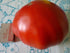SeedsUA 40 Beefsteak Giant Tomato Russian Hercules Seeds Heirloom Vegetable for Planting Non GMO Seeds