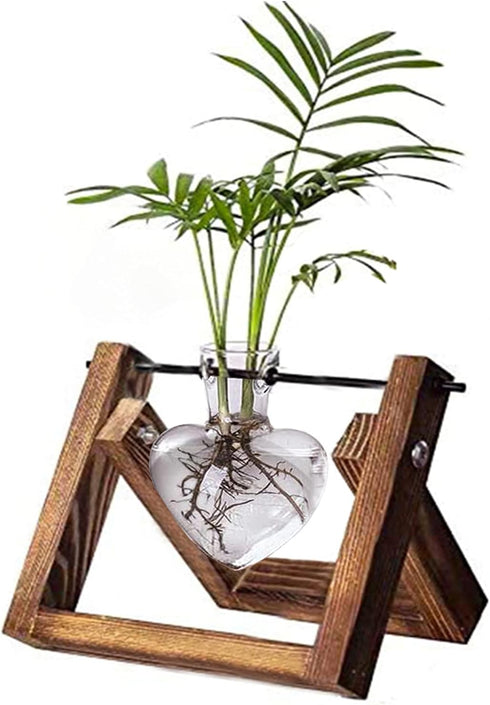 Kingbuy Terrarium with Wooden Stand, Desktop Propagation Station, Air Plant Holder, Metal