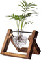 Kingbuy Terrarium with Wooden Stand, Desktop Propagation Station, Air Plant Holder, Metal