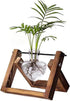 Kingbuy Terrarium with Wooden Stand, Desktop Propagation Station, Air Plant Holder, Metal