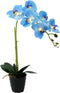20" LED Blossom Orchid Flower Pot - Lighted Bonsai with 7 Real Touch Flowers and Battery Pot