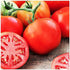 Delicious Tomato Seeds - Large Tomato - One of the Most Delicious