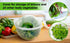 Trenton Gifts Set 2. 7" 8". Lettuce And Vegatable Storage Keeper. of X