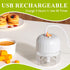 Electric Garlic Chopper 250ml, Mini Cordless Food Processor with 304 Stainless Steel Blade